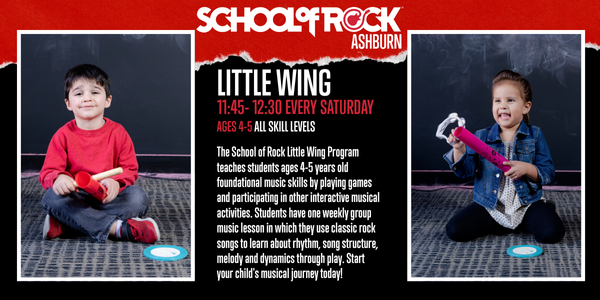 Little Wing - Newsletter  (1)