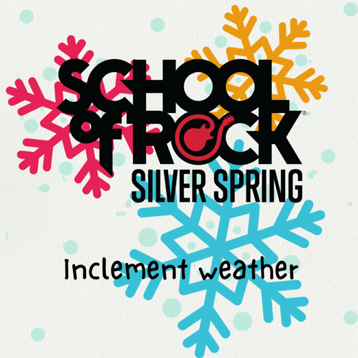 SS inclement  Snowflakes